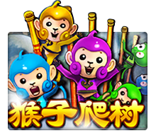 เกมสล็อตออนไลน์ Spin PG
